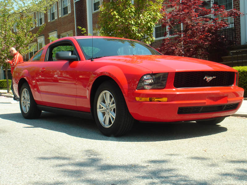 mustang 039